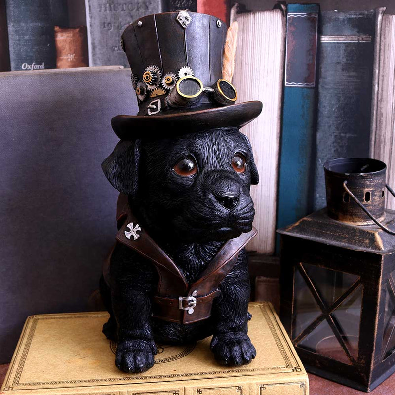 Steampunk & Curiosities