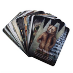 Seaons of the Witch Shamain Oracle Cards