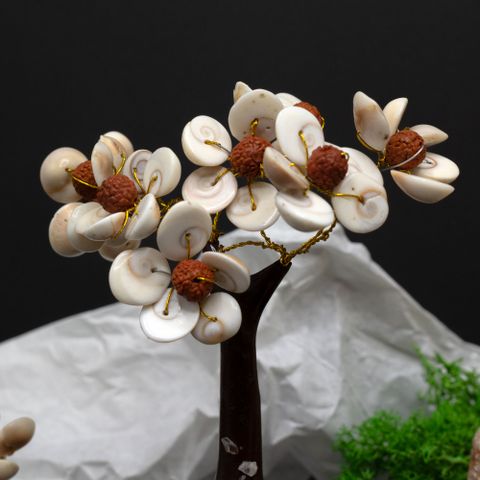 Gomati Chakra Circle Stone Tree with Rudraksha - (45 stones)