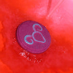 Leo Set of Zodiac Bath Fizzers with Horoscope