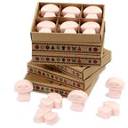 Dark Sandalwood Wax Melts Box of 6