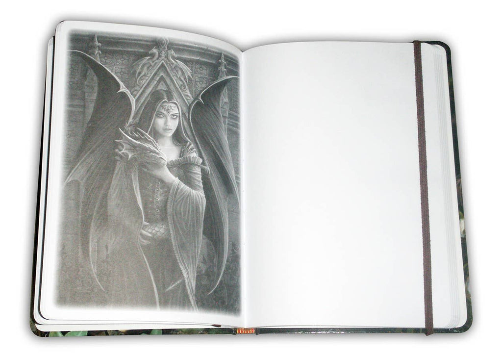 Anne Stokes Hardback Journal — Friends Forever & Water Dragon