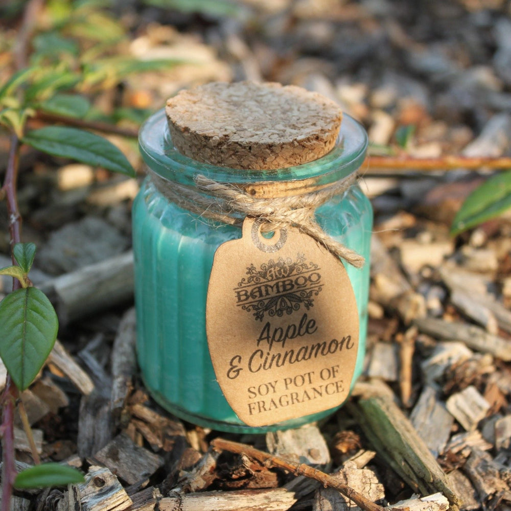 Apple & Cinnamon Soy Wax Jar Candle