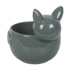 Cute Bat Bowl