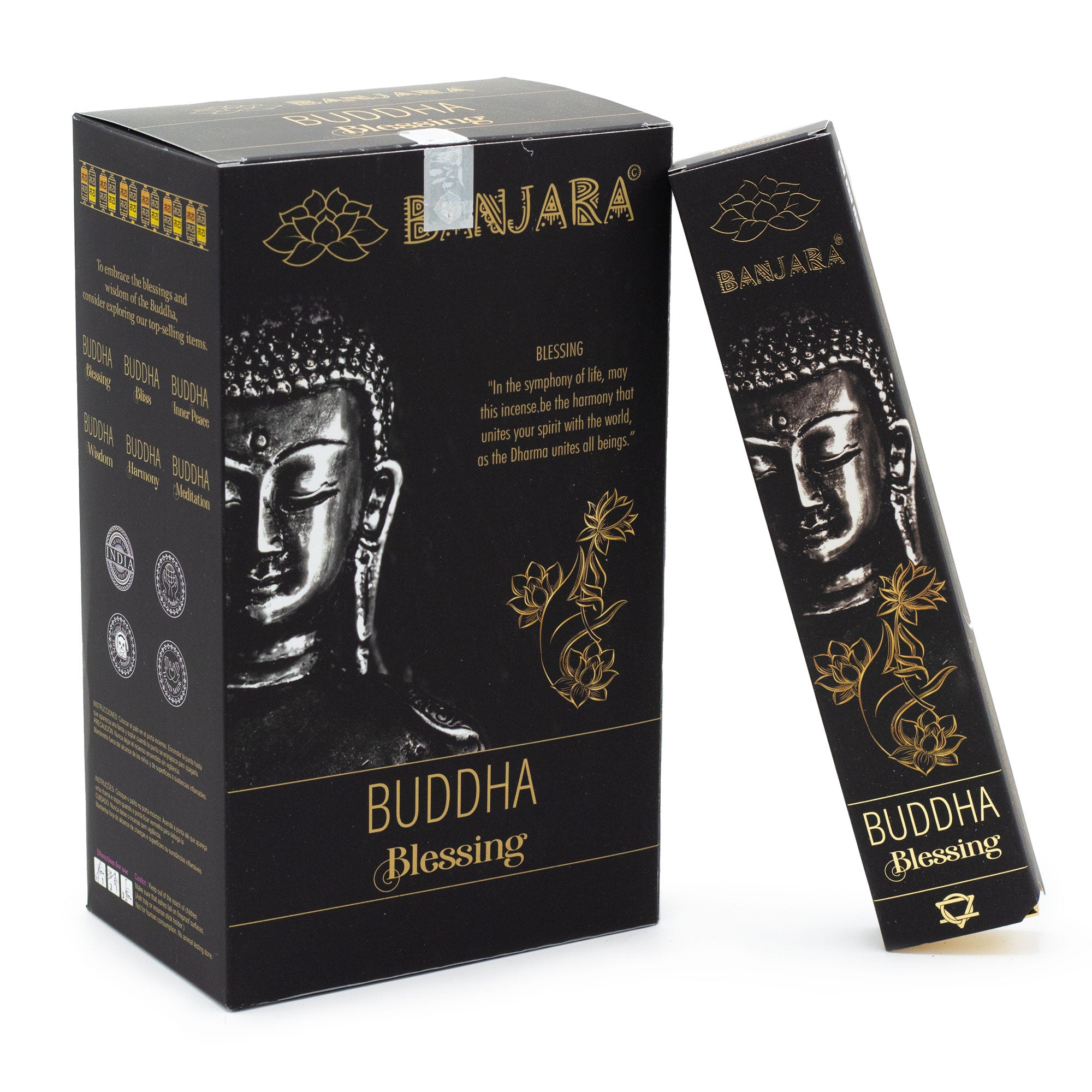 Blessing Banjara Buddha