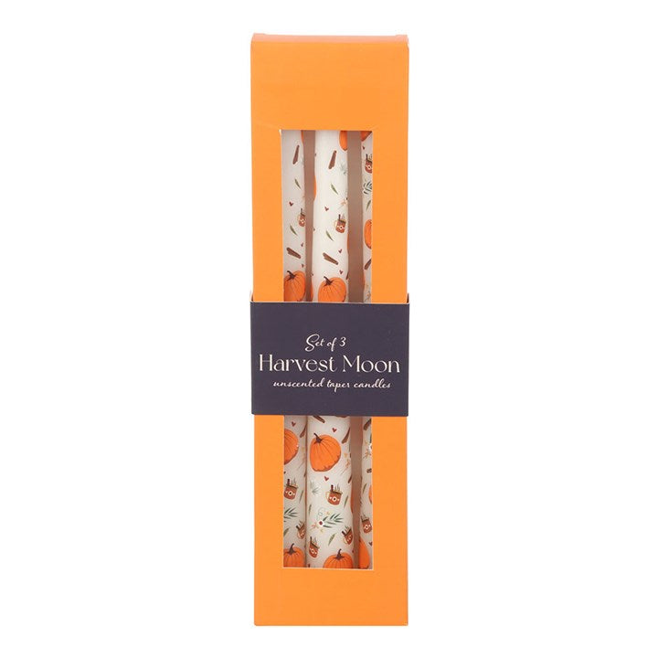 Eleanoras Set of 3 Pumpkin Taper Candles 