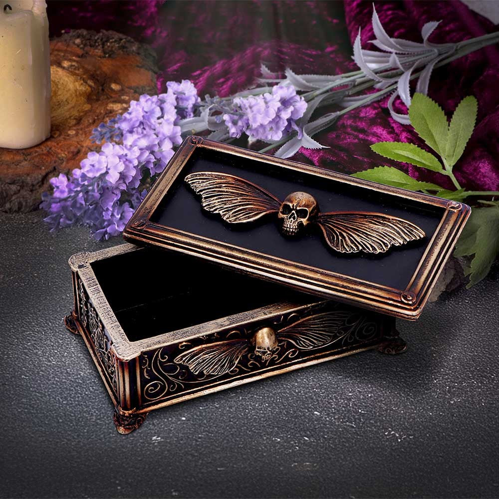 Death's Head Treasure Box