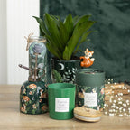 Eleanoras Forest Rain Tube Candle Candles