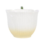 Flower Fairy Wing Teacup