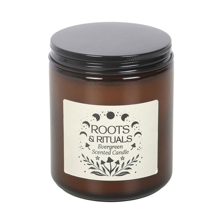 Roots & Rituals Amber Glass Candle - Evergreen