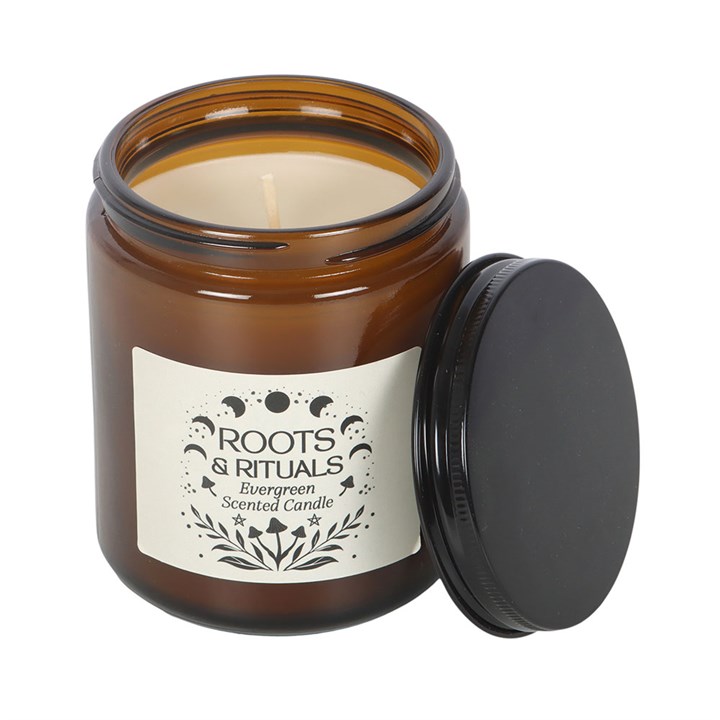 Roots & Rituals Amber Glass Candle - Evergreen