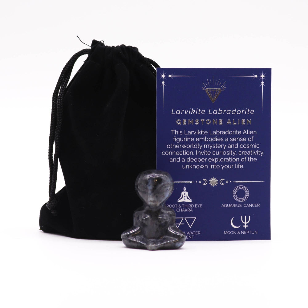 Larvikite Labradorite Gemstone Alien figure with black drawstring bag and product description card on a white background