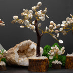 Gomati Chakra Circle Stone Tree Large - (60 stones)