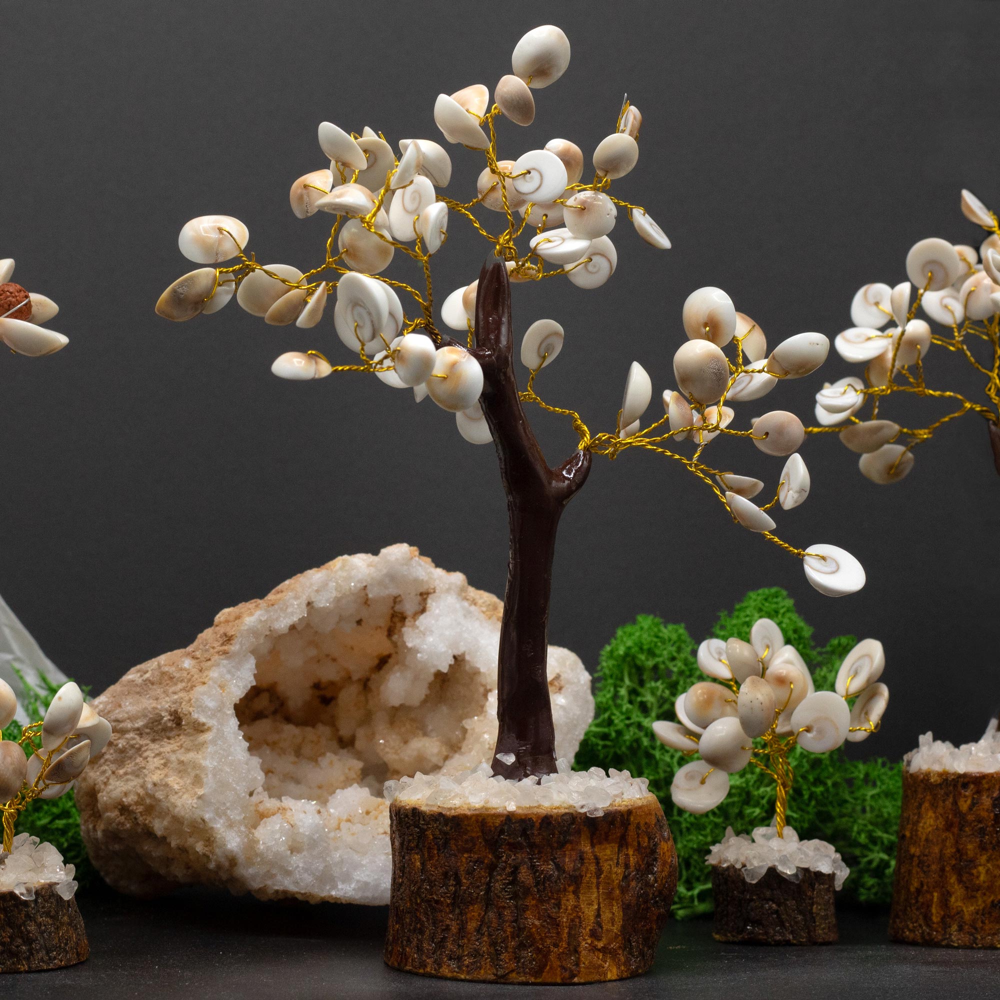Gomati Chakra Circle Stone Tree Large - (60 stones)