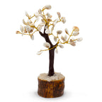 Gomati Chakra Circle Stone Tree Large - (60 stones)