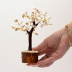 Gomati Chakra Circle Stone Tree Large - (60 stones)
