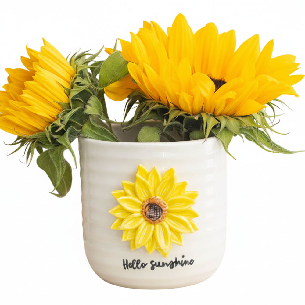 Hello Sunshine Plant Pot With 3d Sunflower 