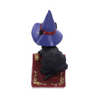 Hocus Small Witches Familiar Black Cat and Spellbook Figurine