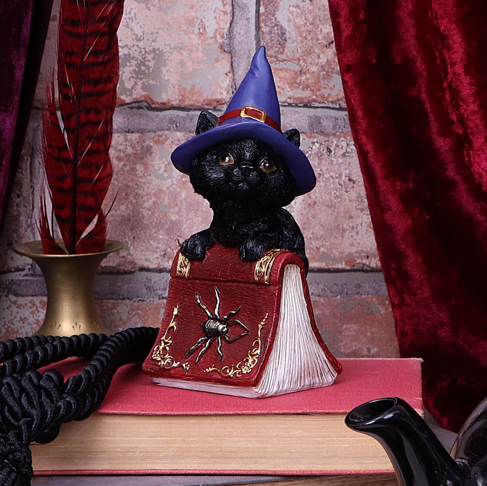 Hocus Small Witches Familiar Black Cat and Spellbook Figurine
