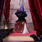 Hocus Small Witches Familiar Black Cat and Spellbook Figurine
