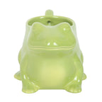 The Witch's Frog Mug