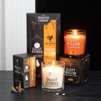 Set of 2 Haunted Library Incense Cone Packs