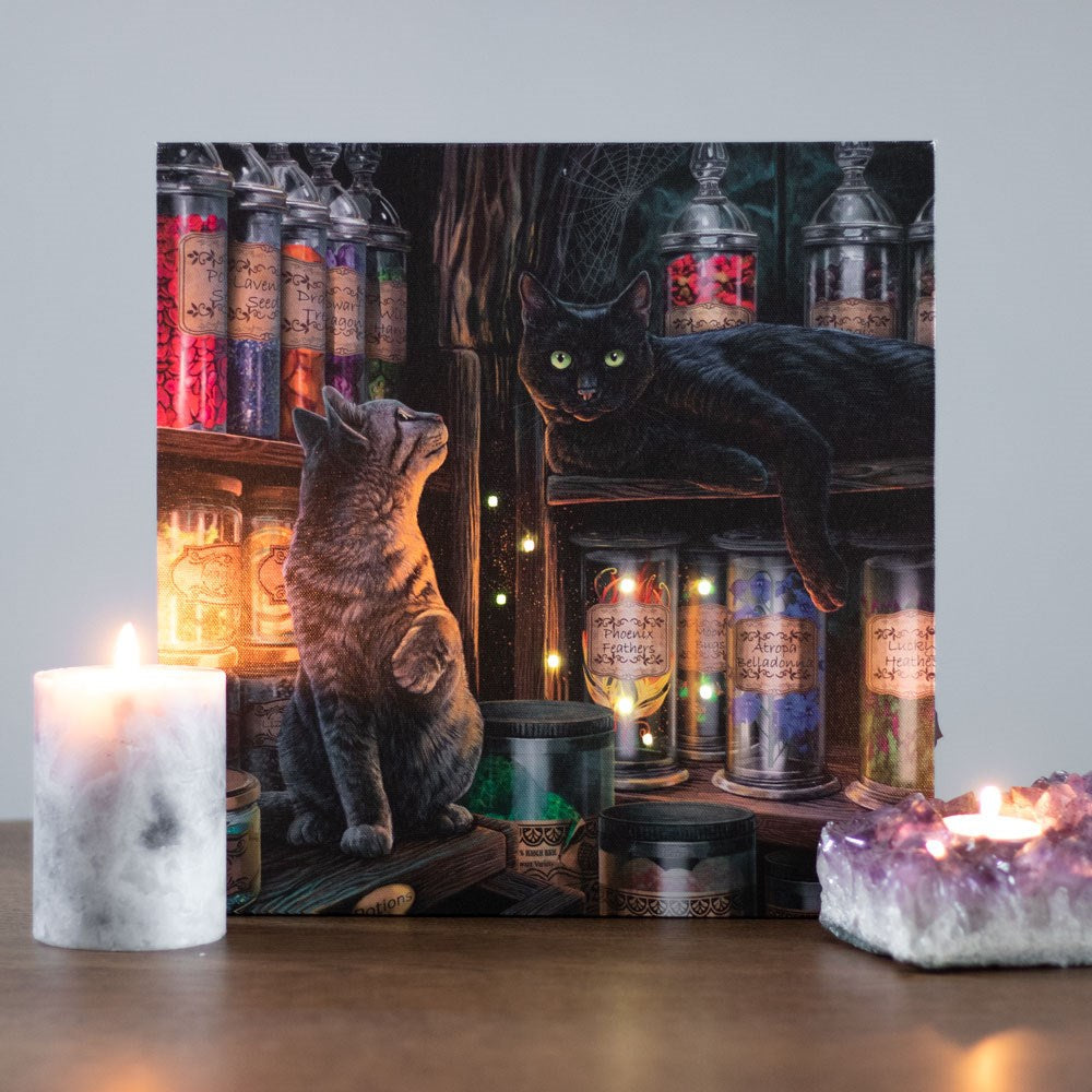 Eleanoras MAGICAL EMPORIUM LIGHT UP CANVAS PLAQUE BY LISA PARKER Canvases