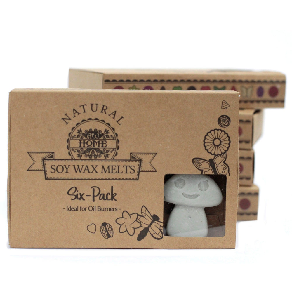 Dark Patchouli Box of 6  Wax Melts
