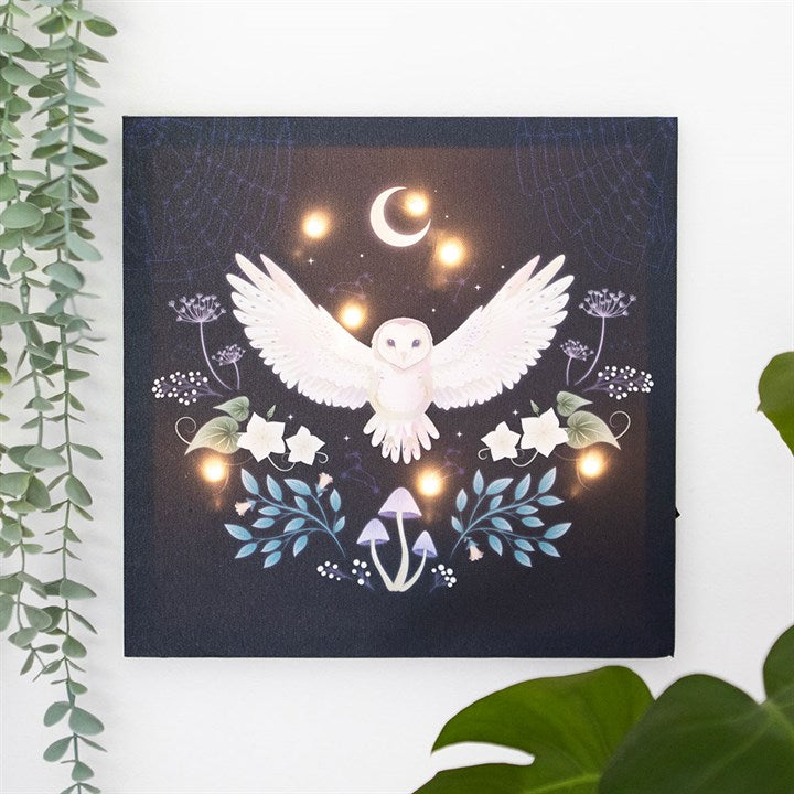 Eleanoras Night Owl Light Up Canvas Plaque Canvases