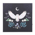 Eleanoras Night Owl Light Up Canvas Plaque Canvases