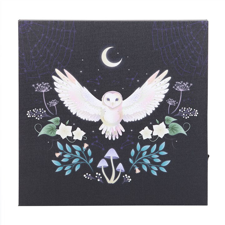 Eleanoras Night Owl Light Up Canvas Plaque Canvases