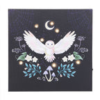 Eleanoras Night Owl Light Up Canvas Plaque Canvases