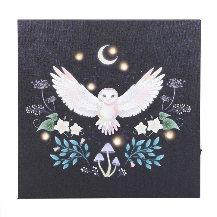 Eleanoras Night Owl Light Up Canvas Plaque Canvases