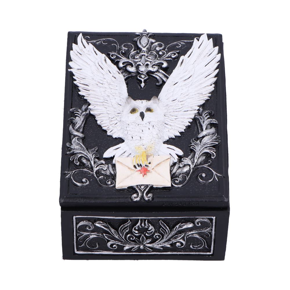 Owl Messenger Snowy Owl Trinket Box