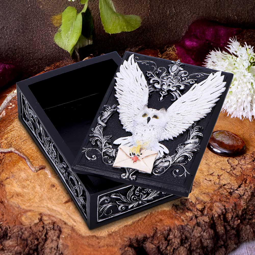 Owl Messenger Snowy Owl Trinket Box