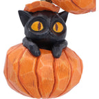 Pumpkin and Patch Halloween Hanging Ornaments | Set of 2 | Nemesis Now