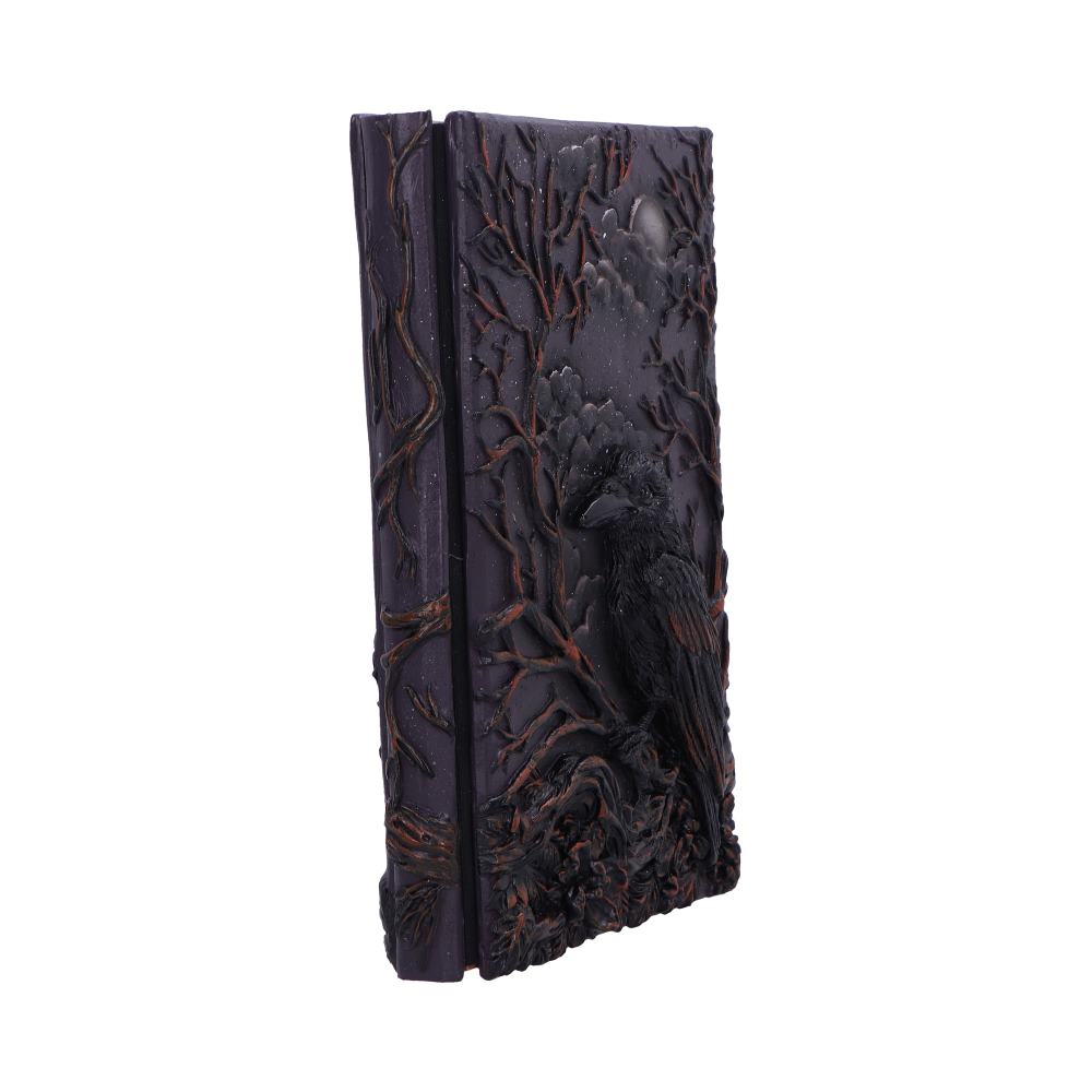 Raven's Grimoire Journal, 19cm