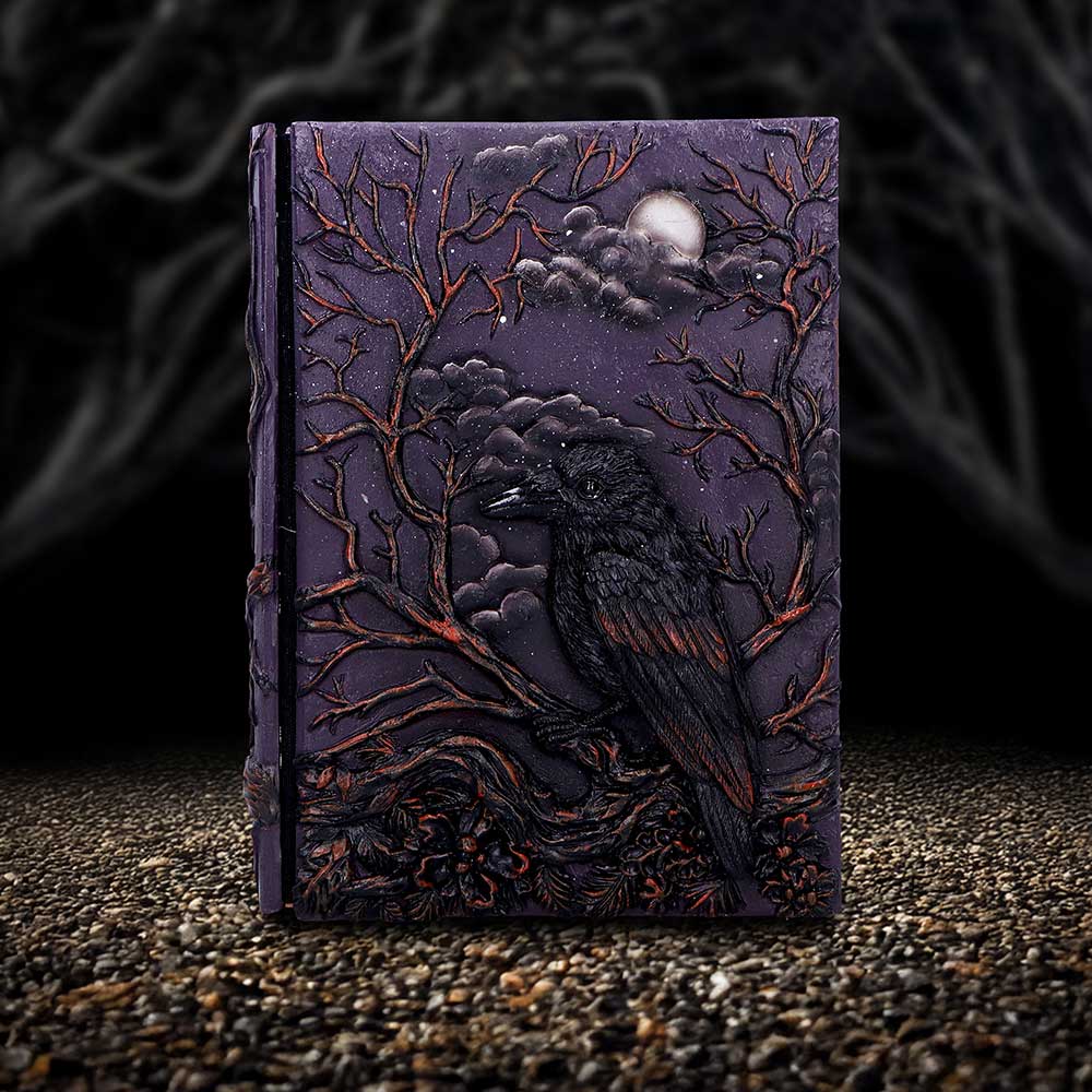 Raven's Grimoire Journal, 19cm