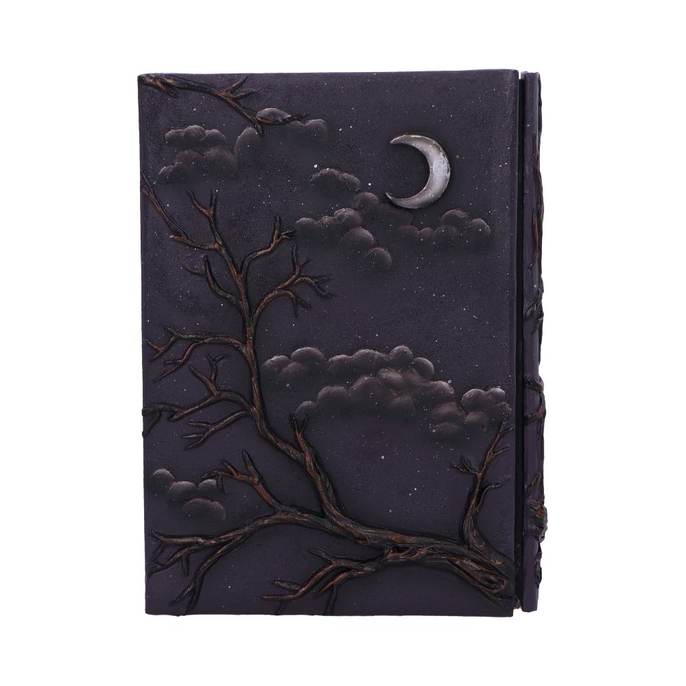 Raven's Grimoire Journal, 19cm