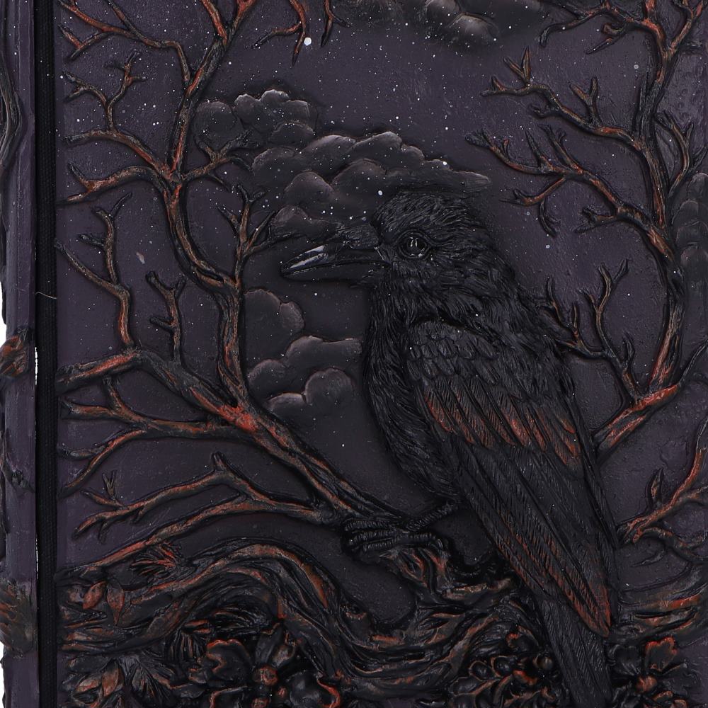 Raven's Grimoire Journal, 19cm