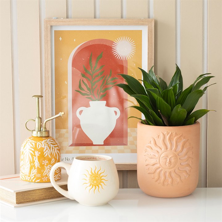 Eleanoras Sun Terracotta Plant Pot Plant Pots