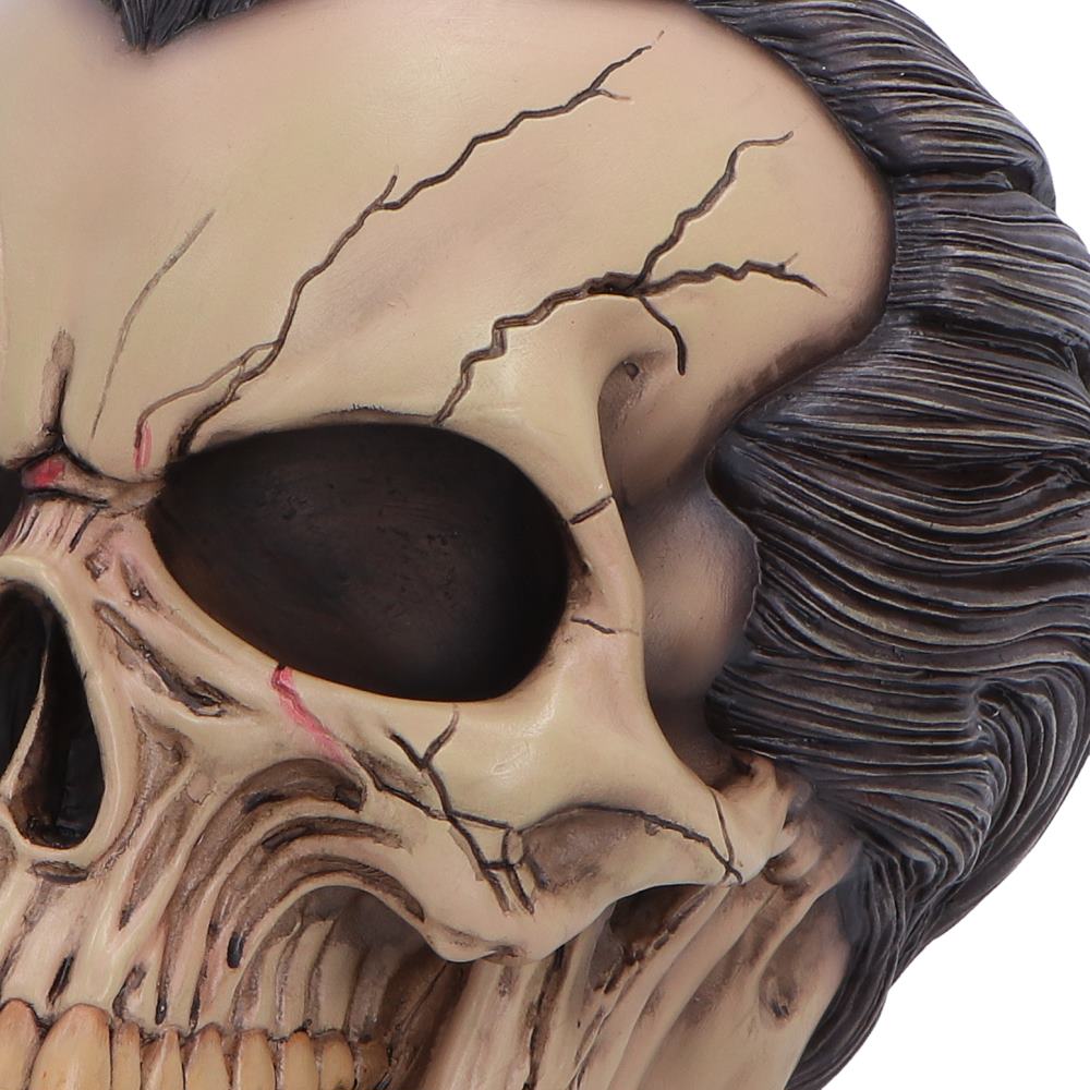 The Lord of the Night Dracula Skull