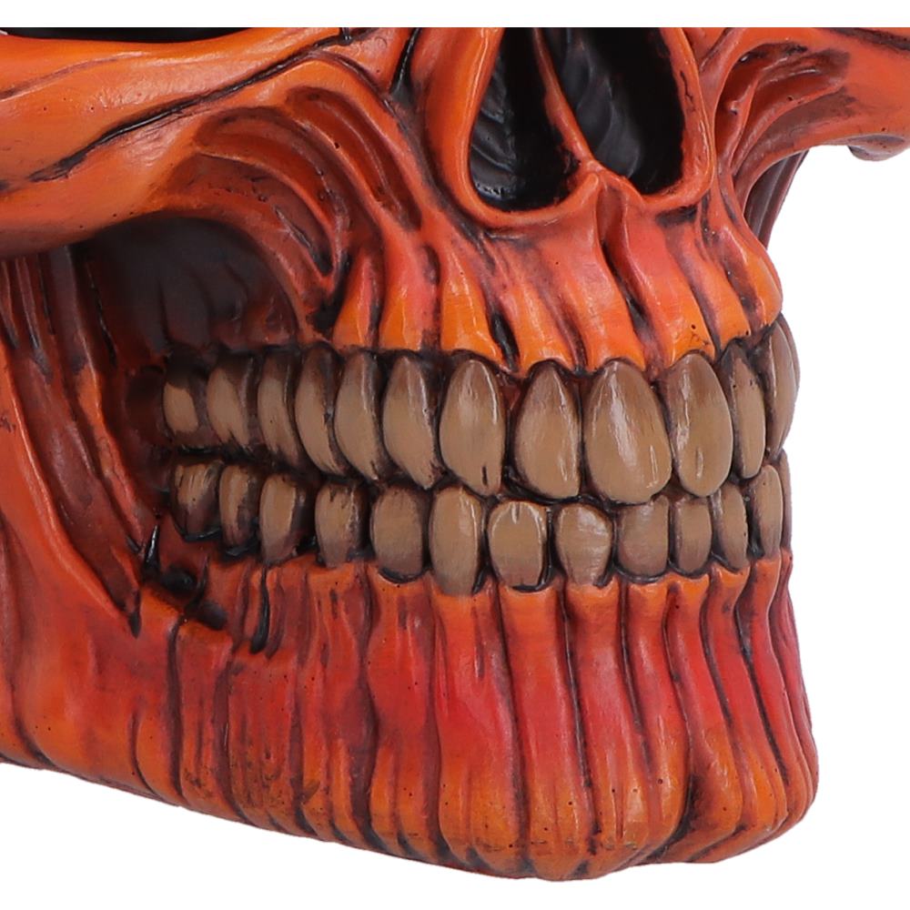 Close-up of a red and orange skull with detailed features on a white background