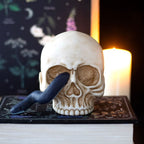 Eleanoras Skull Ornament with Snake 