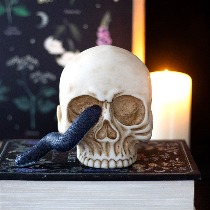 Eleanoras Skull Ornament with Snake 