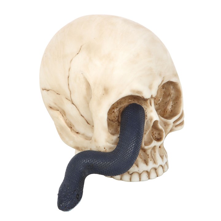 Eleanoras Skull Ornament with Snake 
