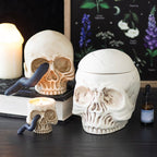 Eleanoras Skull Ornament with Snake 