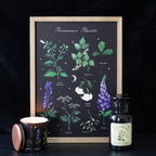Eleanoras Poisonous Plants Framed Wall Art Print 