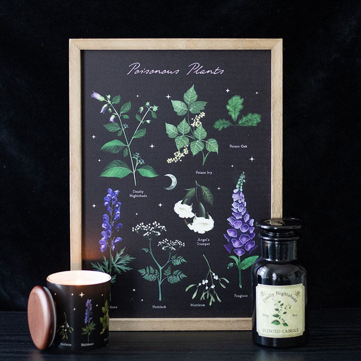 Eleanoras Poisonous Plants Framed Wall Art Print 