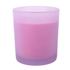Virgo Citrus & Ginger Candle - Zodiac Zest